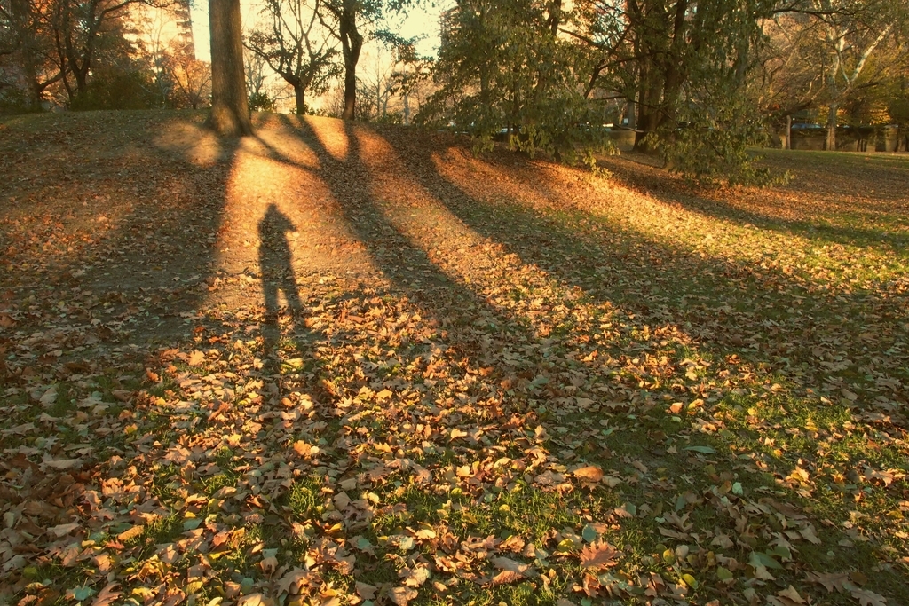 f:id:threefivethree:20181122213642j:plain f:id:threefivethree:20181122213642j:plain