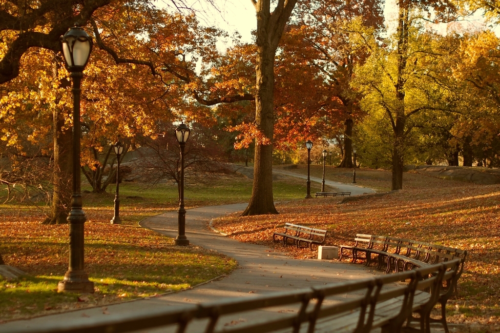 f:id:threefivethree:20181122214555j:plain f:id:threefivethree:20181122214555j:plain