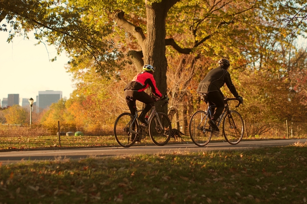 f:id:threefivethree:20181122214959j:plain f:id:threefivethree:20181122214959j:plain