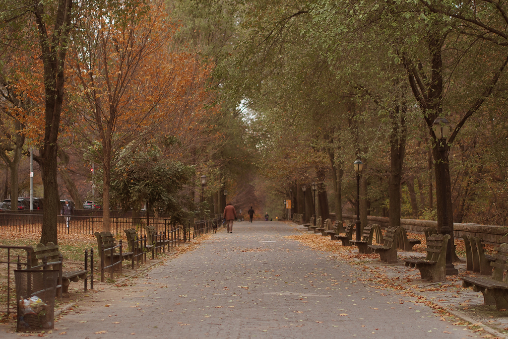 f:id:threefivethree:20181224205951j:plain