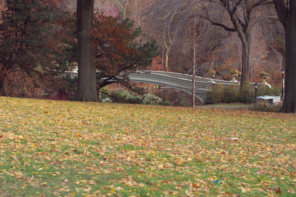 f:id:threefivethree:20181228204416j:plain f:id:threefivethree:20181228204416j:plain