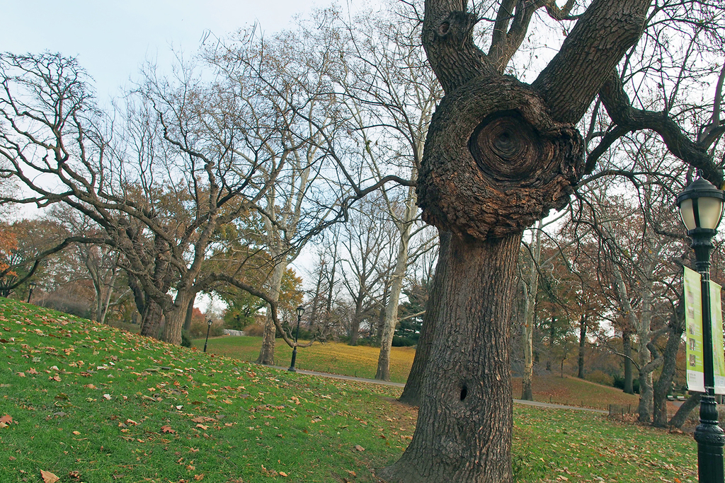 f:id:threefivethree:20181228204624j:plain