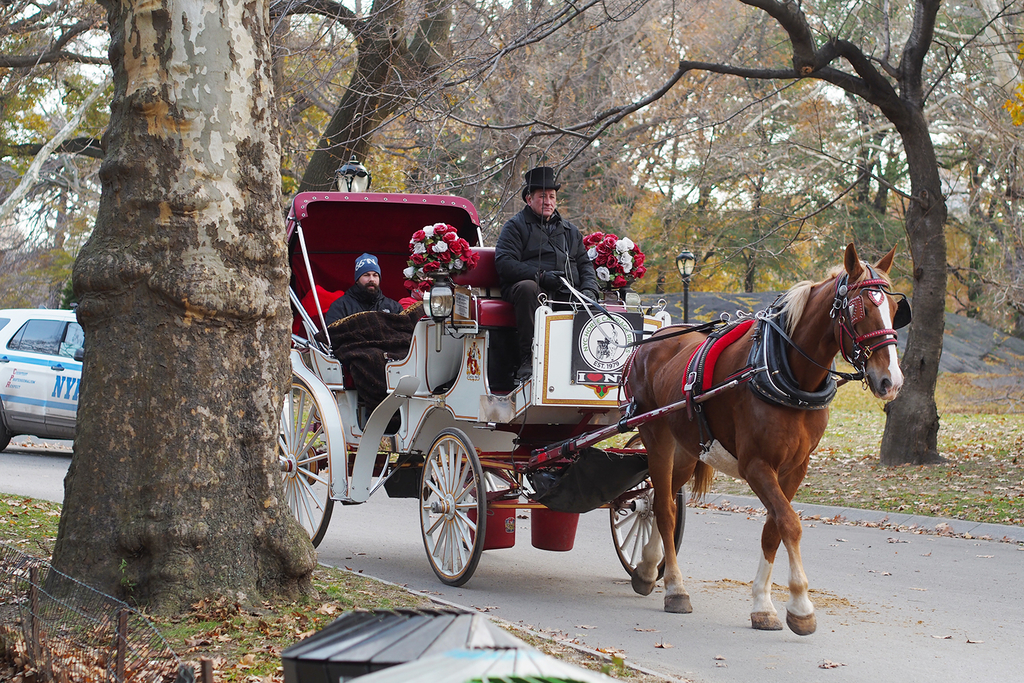 f:id:threefivethree:20181228204630j:plain f:id:threefivethree:20181228204630j:plain