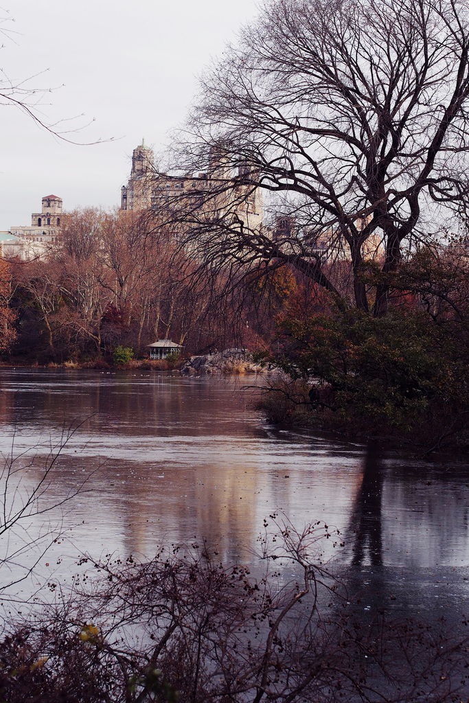 f:id:threefivethree:20181228205049j:plain:right:w200