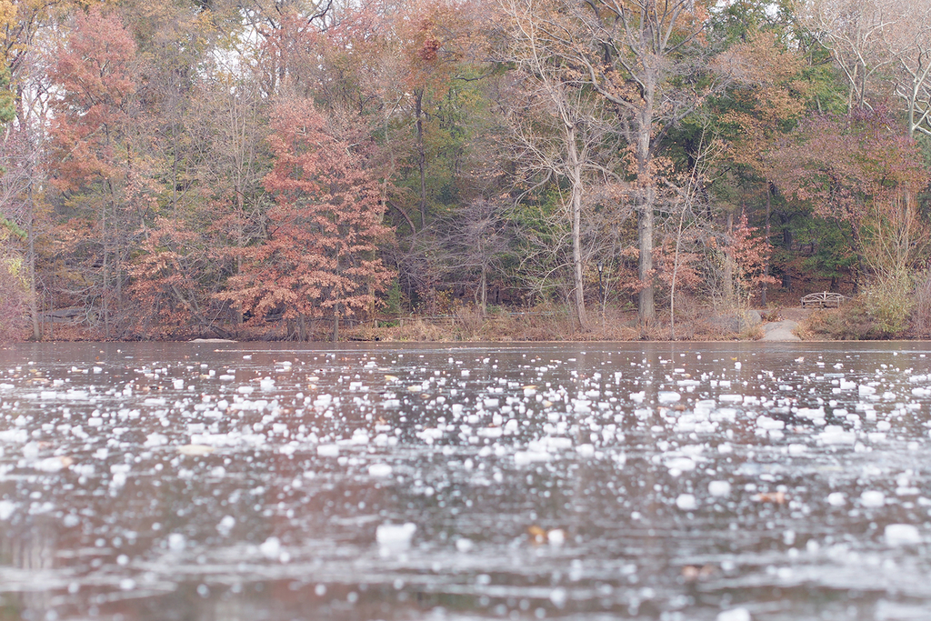 f:id:threefivethree:20181228211955j:plain f:id:threefivethree:20181228211955j:plain