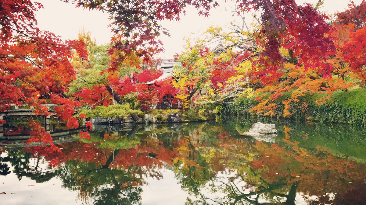 f:id:threefivethree:20191122160927j:plain