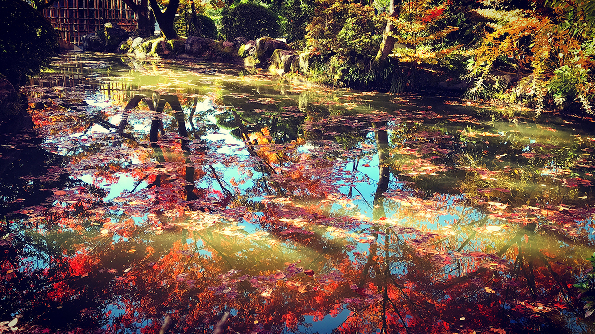 f:id:threefivethree:20191123102908j:plain