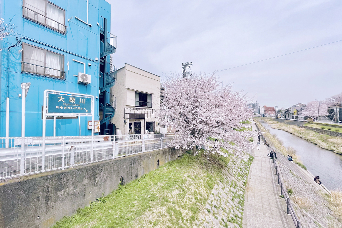 川沿い、一本の桜の木と向かい合うように建つ二階建ての白い建物。