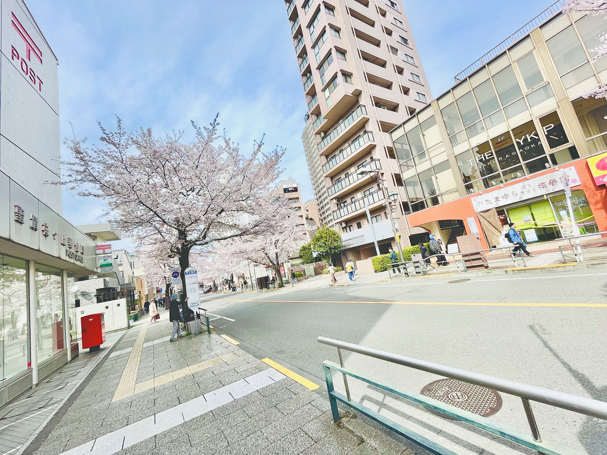 駅へと続く通り。桜の木のそばに、大きな郵便局がある。
