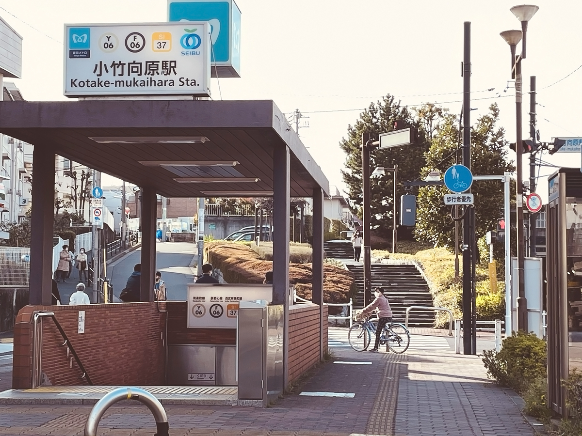 上の写真と同じ場所を、遠くから望遠寄りで撮影。