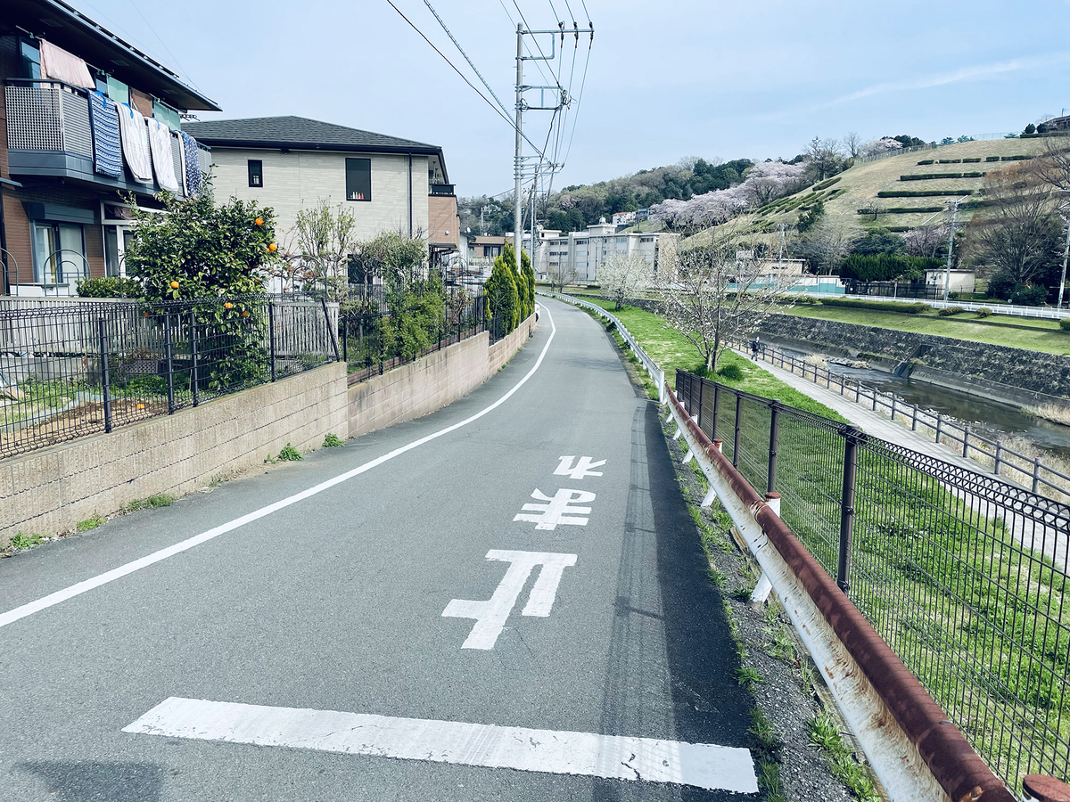 川沿いの光景。