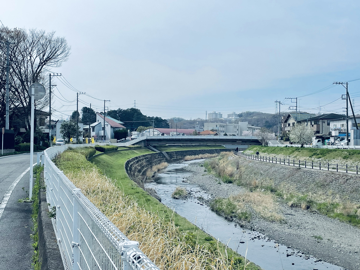川沿いの風景。