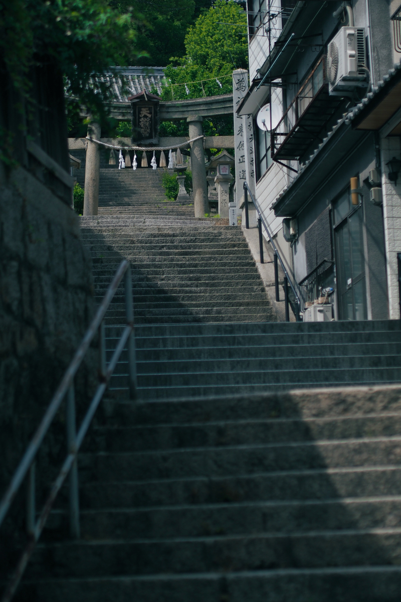 鳥居へと向かう長い階段。