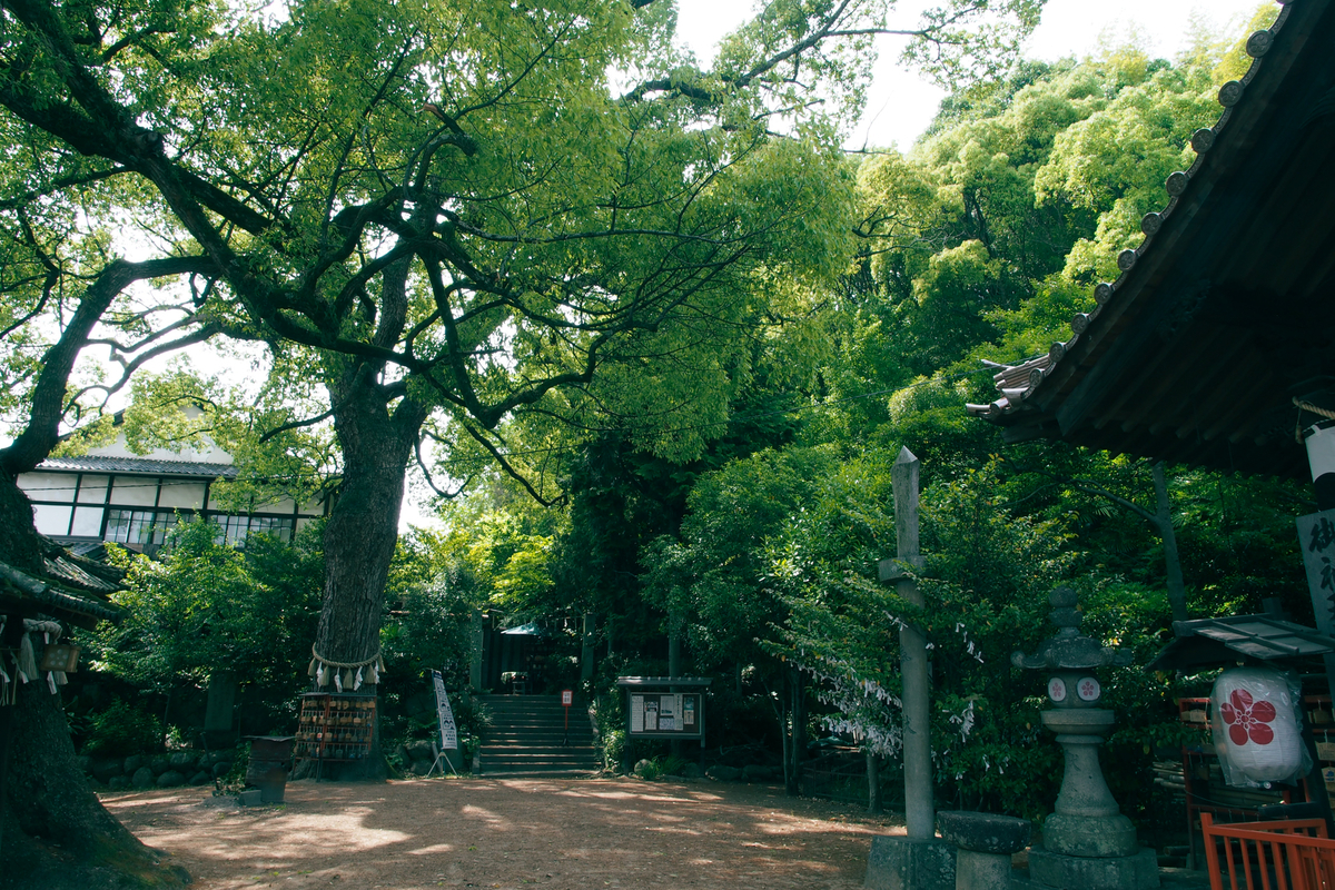 深緑の茂る境内。