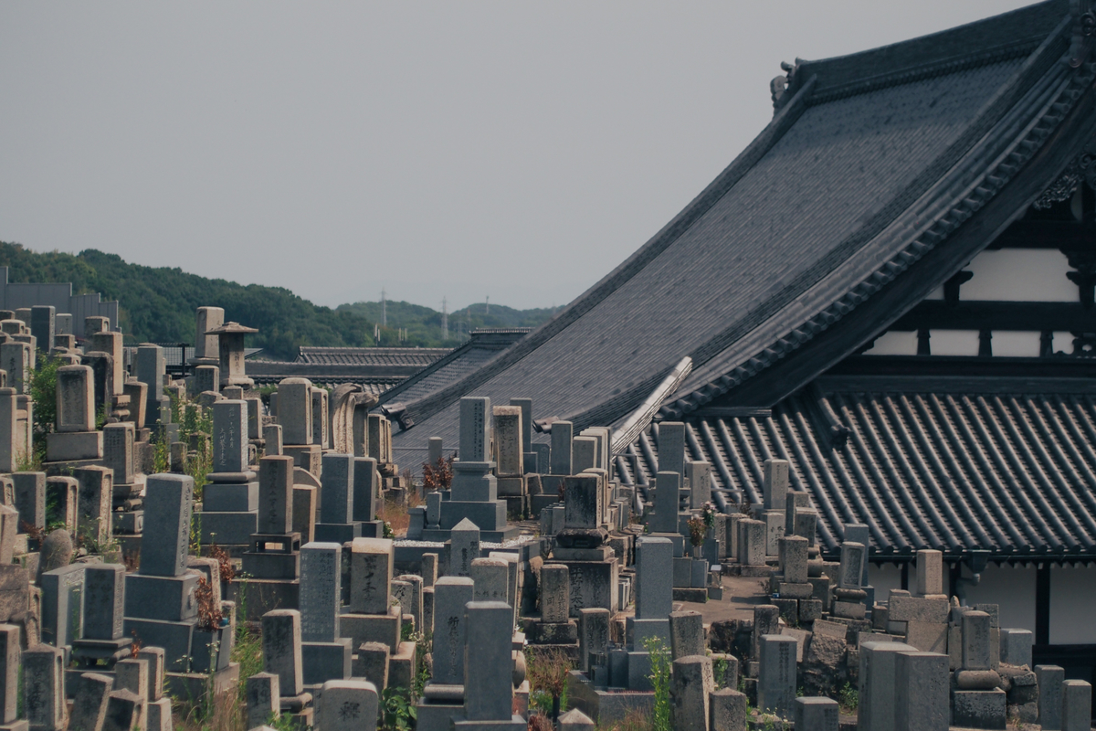墓石がひしめく墓地の向こうに、社殿の大きな瓦屋根。