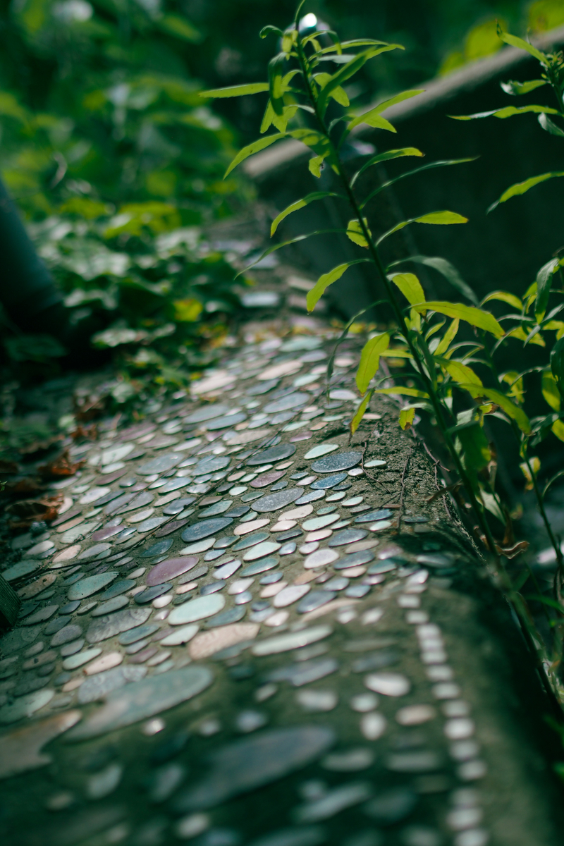 平たい小石のようなタイルたちが並び、青々と葉が茂る。