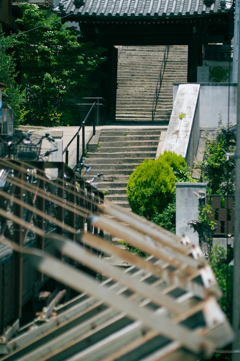 物々しい骨組みと、歩道橋の先に寺へと続く石段。