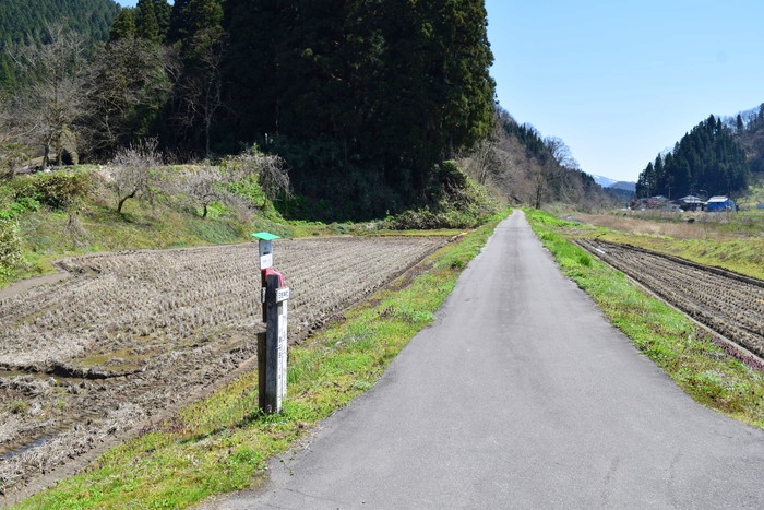 f:id:threepeaks:20190416221326j:plain f:id:threepeaks:20190416221326j:plain