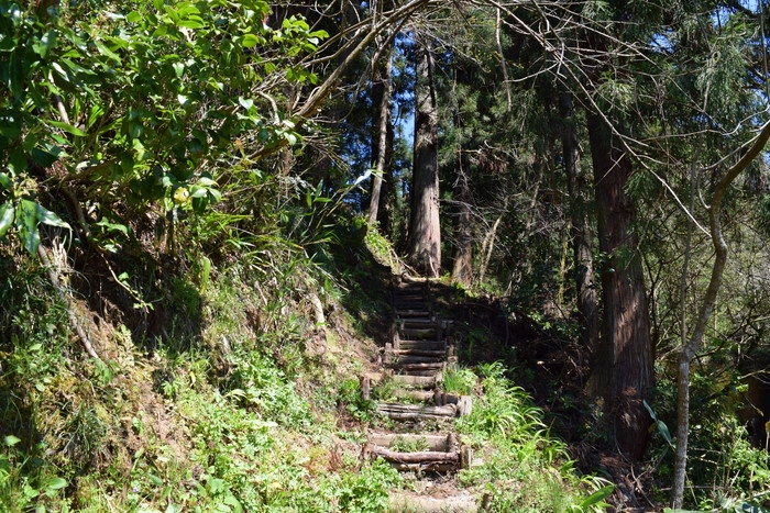 f:id:threepeaks:20190416223341j:plain f:id:threepeaks:20190416223341j:plain