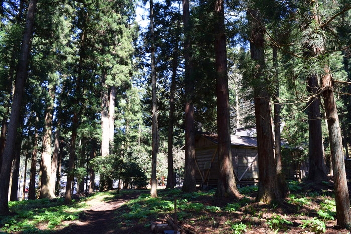 f:id:threepeaks:20190416223425j:plain f:id:threepeaks:20190416223425j:plain