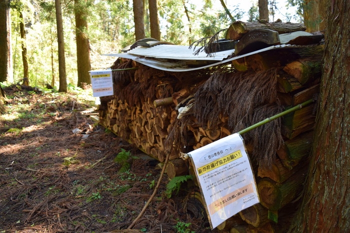 f:id:threepeaks:20190416223938j:plain f:id:threepeaks:20190416223938j:plain