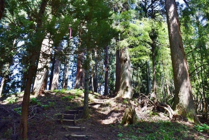 f:id:threepeaks:20190416224656j:plain f:id:threepeaks:20190416224656j:plain