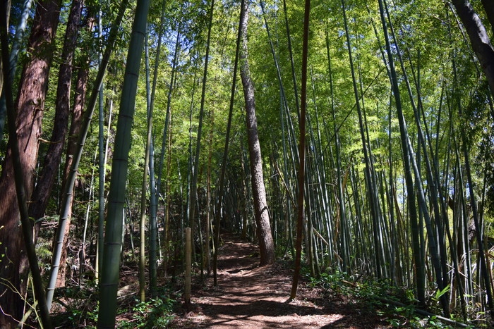 f:id:threepeaks:20190416224852j:plain f:id:threepeaks:20190416224852j:plain