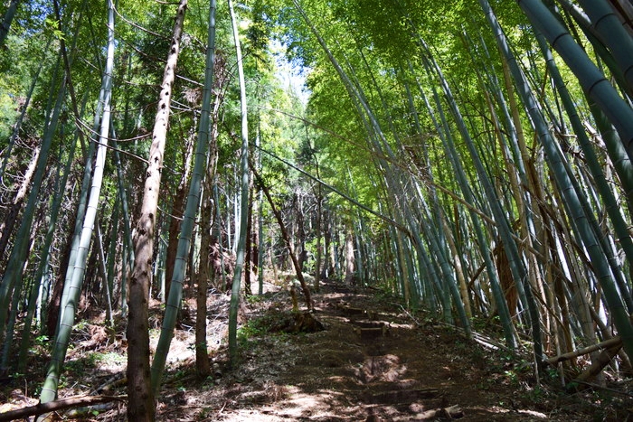 f:id:threepeaks:20190416225043j:plain f:id:threepeaks:20190416225043j:plain