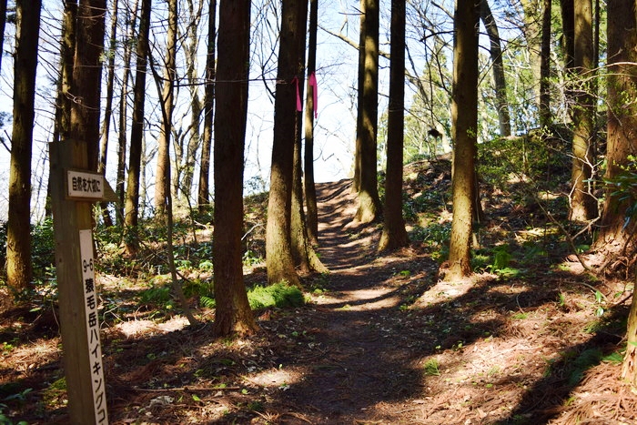 f:id:threepeaks:20190416225122j:plain f:id:threepeaks:20190416225122j:plain