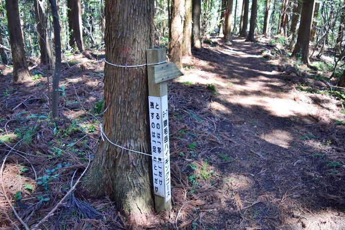 f:id:threepeaks:20190416230450j:plain f:id:threepeaks:20190416230450j:plain