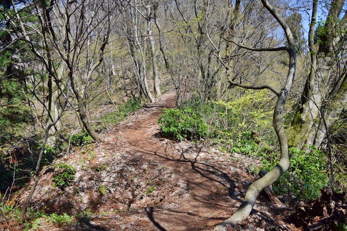 f:id:threepeaks:20190416230827j:plain f:id:threepeaks:20190416230827j:plain