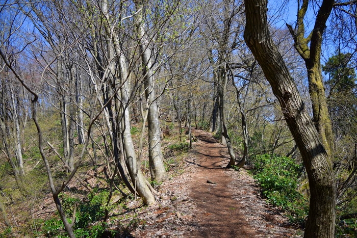 f:id:threepeaks:20190416230935j:plain f:id:threepeaks:20190416230935j:plain