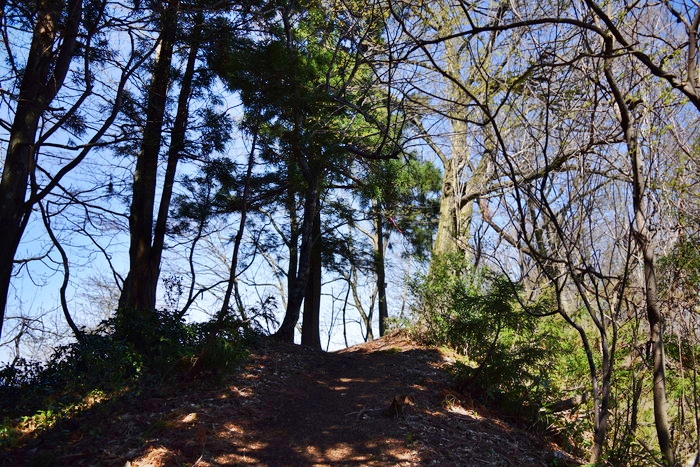 f:id:threepeaks:20190416231106j:plain f:id:threepeaks:20190416231106j:plain