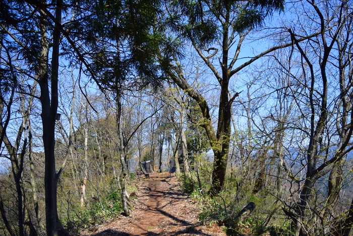 f:id:threepeaks:20190416231126j:plain f:id:threepeaks:20190416231126j:plain