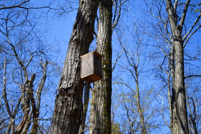 f:id:threepeaks:20190416233404j:plain f:id:threepeaks:20190416233404j:plain