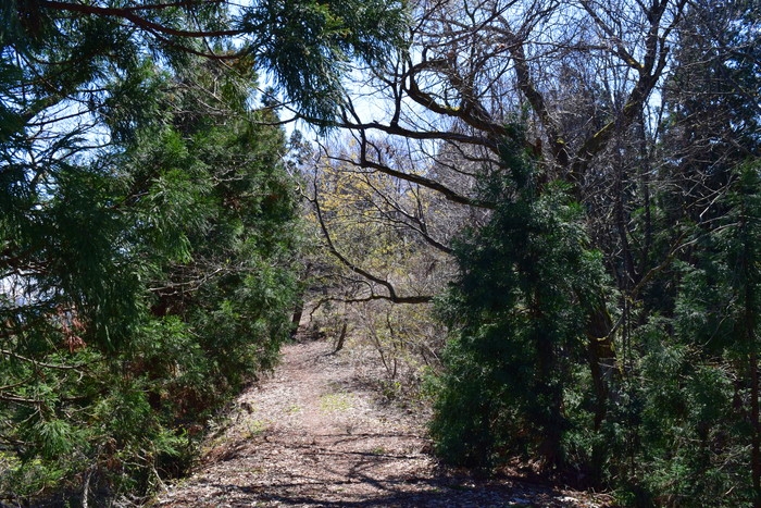 f:id:threepeaks:20190416234157j:plain f:id:threepeaks:20190416234157j:plain