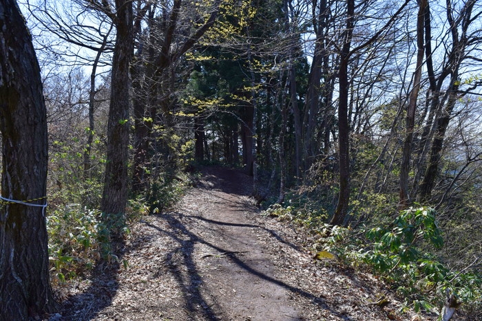 f:id:threepeaks:20190416235707j:plain f:id:threepeaks:20190416235707j:plain