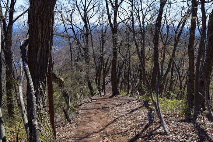 f:id:threepeaks:20190416235900j:plain f:id:threepeaks:20190416235900j:plain