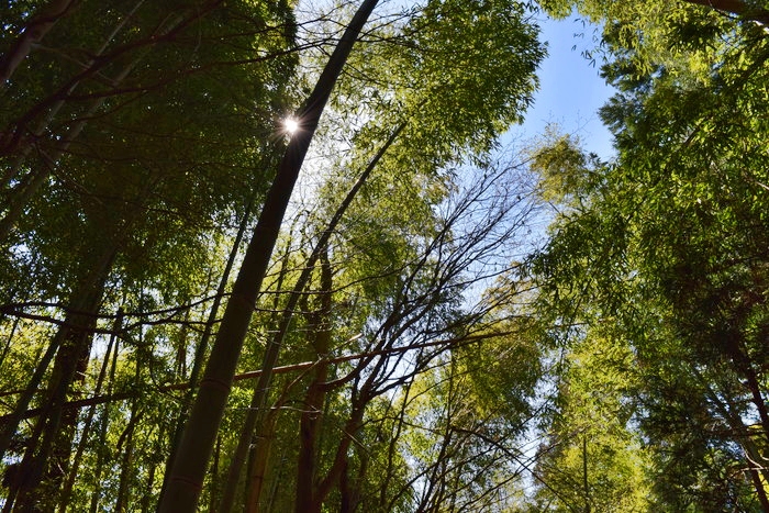 f:id:threepeaks:20190417001215j:plain f:id:threepeaks:20190417001215j:plain