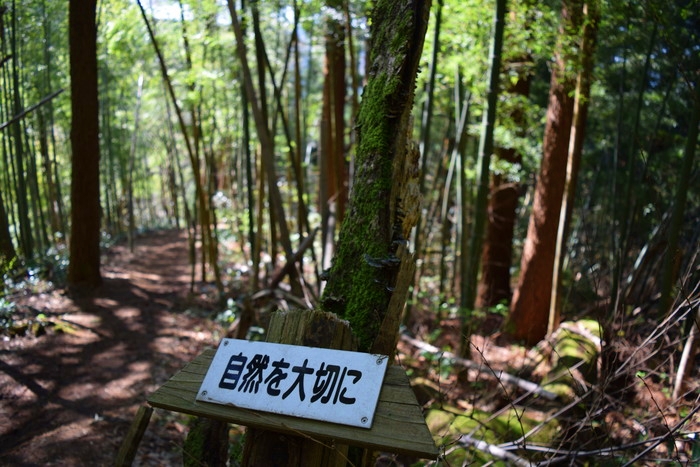 f:id:threepeaks:20190417002556j:plain f:id:threepeaks:20190417002556j:plain