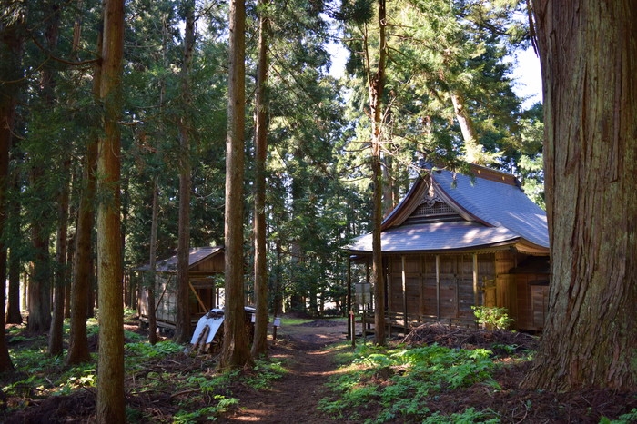 f:id:threepeaks:20190417002617j:plain f:id:threepeaks:20190417002617j:plain