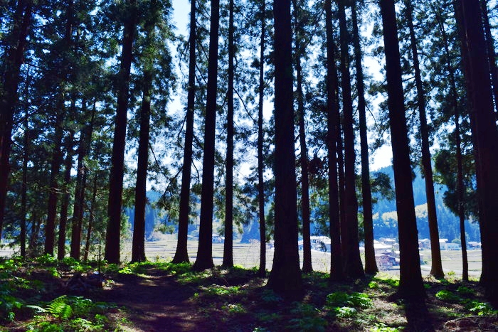 f:id:threepeaks:20190417003048j:plain f:id:threepeaks:20190417003048j:plain