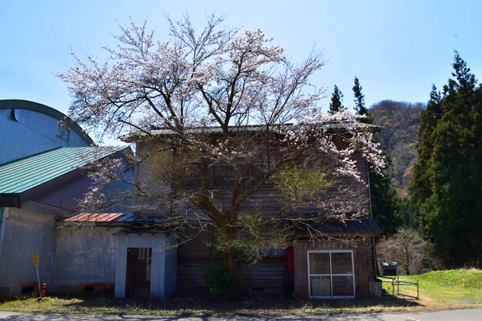 f:id:threepeaks:20190424225931j:plain