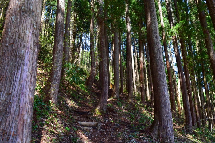 f:id:threepeaks:20190424231442j:plain