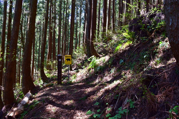 f:id:threepeaks:20190424231615j:plain