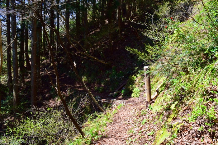 f:id:threepeaks:20190424231842j:plain