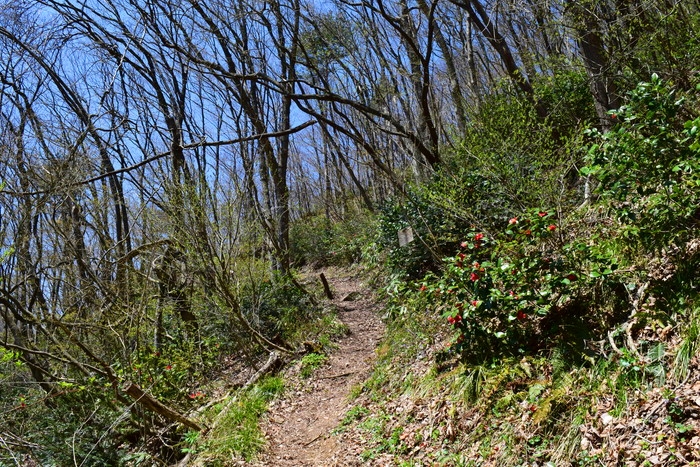 f:id:threepeaks:20190424232202j:plain