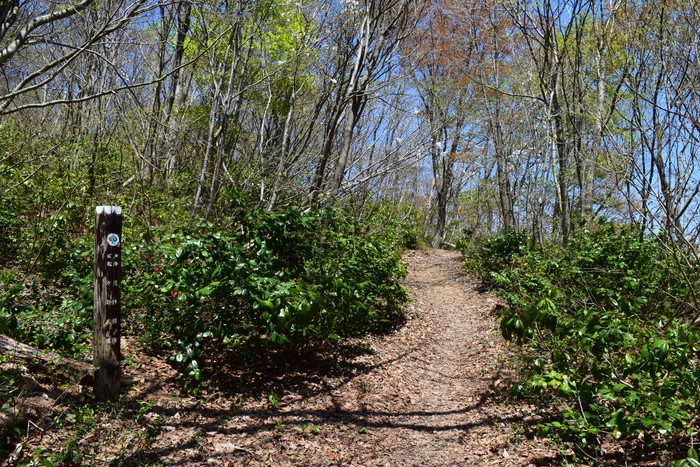 f:id:threepeaks:20190424233327j:plain