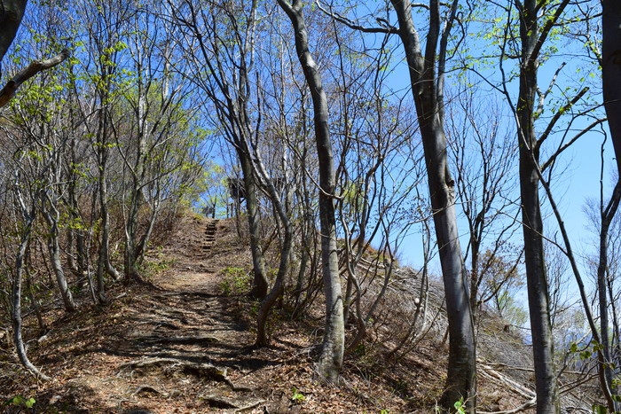 f:id:threepeaks:20190424235040j:plain