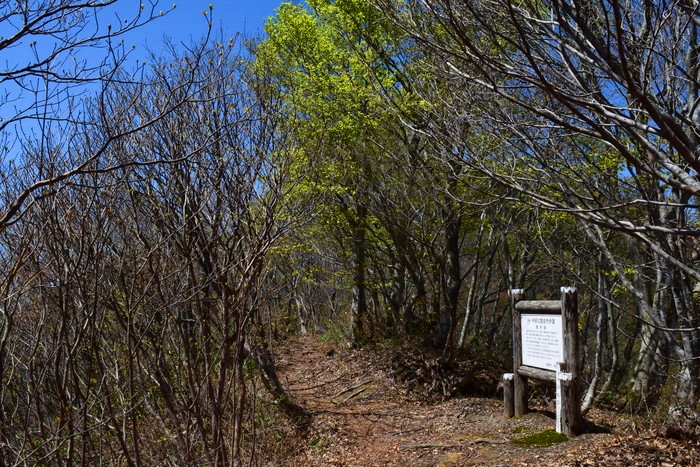 f:id:threepeaks:20190424235503j:plain